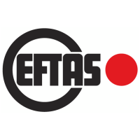 Logo: EFTAS Fernerkundung Technologietransfer GmbH