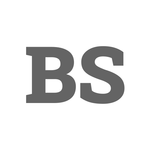 Logo: BSS Sport