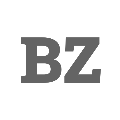 Logo: Bizz Zolutions